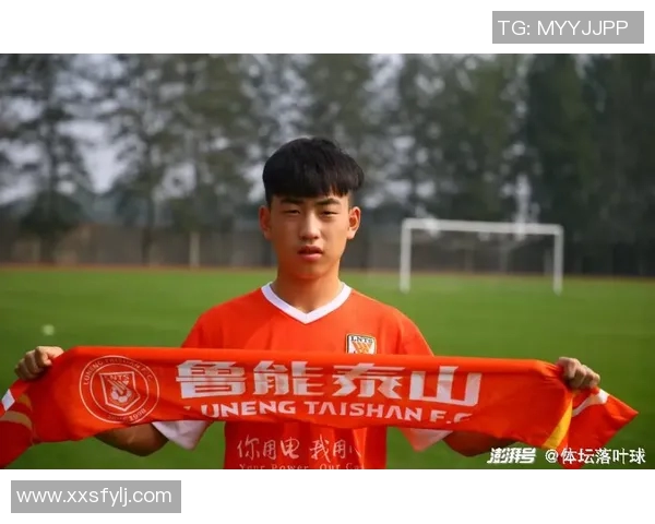 南京羽毛球队在总决赛积分榜上以80分稳居第一位置展现强劲实力