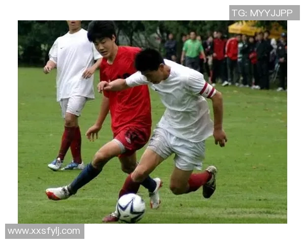 南京足球队与成都足球队赛后分析力量对比与战术探讨