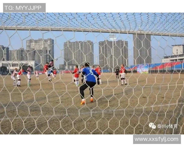 南京足球队耐力分析与训练方法探讨助力球队提升竞技水平 南京足球队耐力分析与训练方法探讨助力球队提升竞技水平