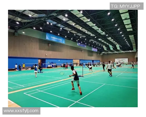 成都羽毛球队夺冠之路最新羽毛球比赛经验分享TOP10