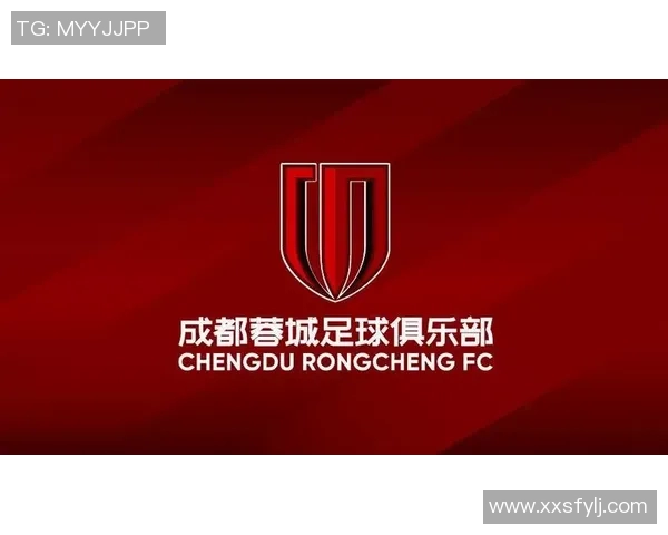 深入探讨成都足球队在赛季中的力量表现与数据分析结果